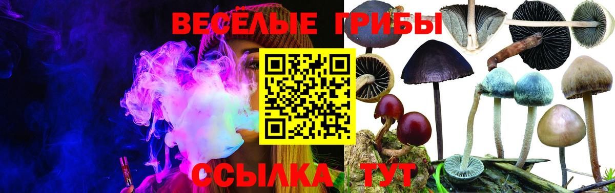 Волгоград  Псилоцибиновые грибы Psilocybe  Галлюциногенные грибы MAGIC MUSHROOMS  Вход с VPN 