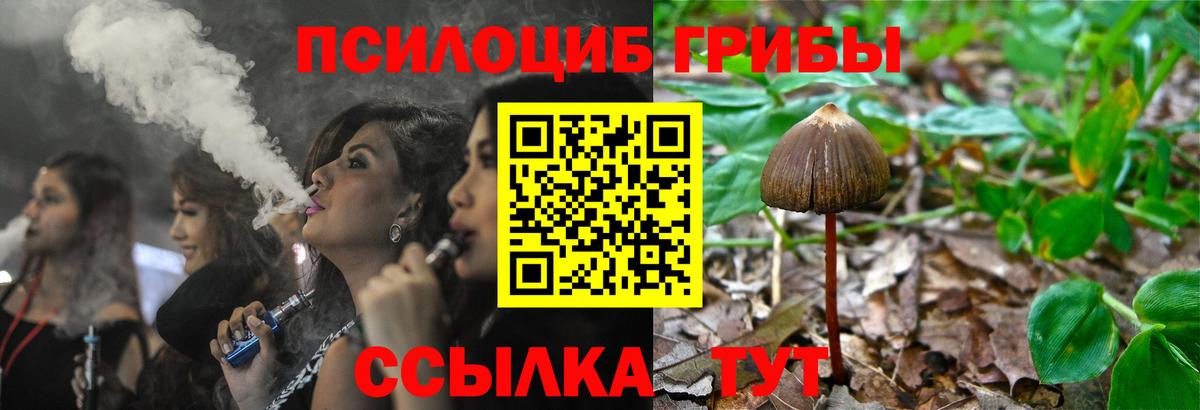 Галлюциногенные грибы мицелий Волгоград
